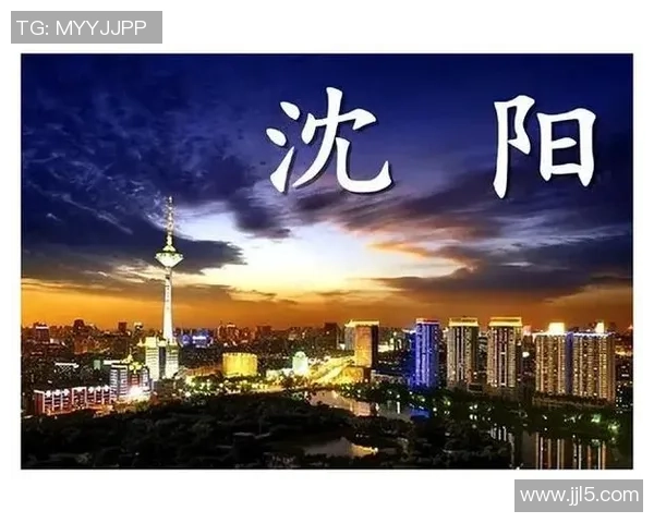 贵州恒丰与辽宁沈阳城市精彩对决回顾分析与战术解读